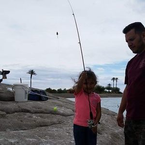 Meet your Posher, Henry